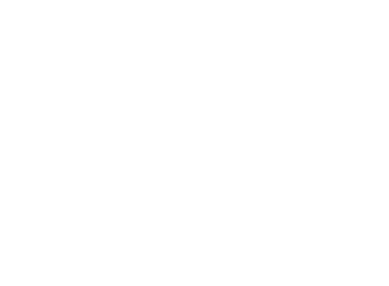 Teatro di Arte Mancini logo